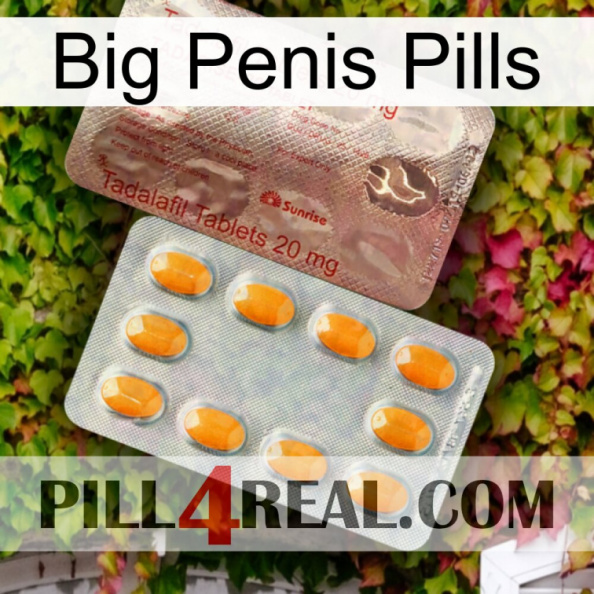 Big Penis Pills new13.jpg